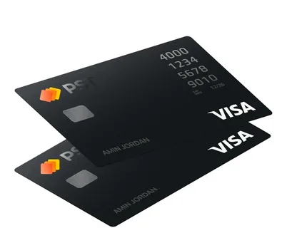 Скриншот интерфейса PST.net