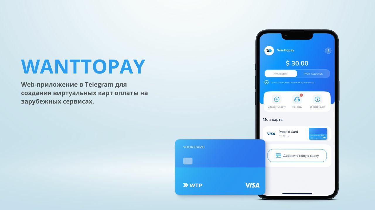 Скриншот интерфейса Wanttopay